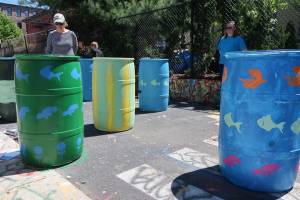 Image: Painted rain barrels