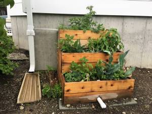 Image: Storm drain Planter