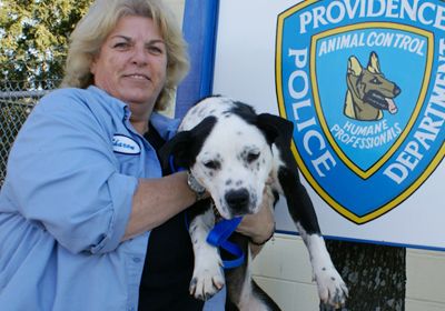 Providence Animal Control