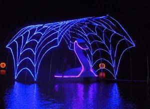 Illuminated swan boat rides 