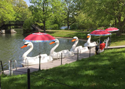 Swan Boats at Roger Williams Park