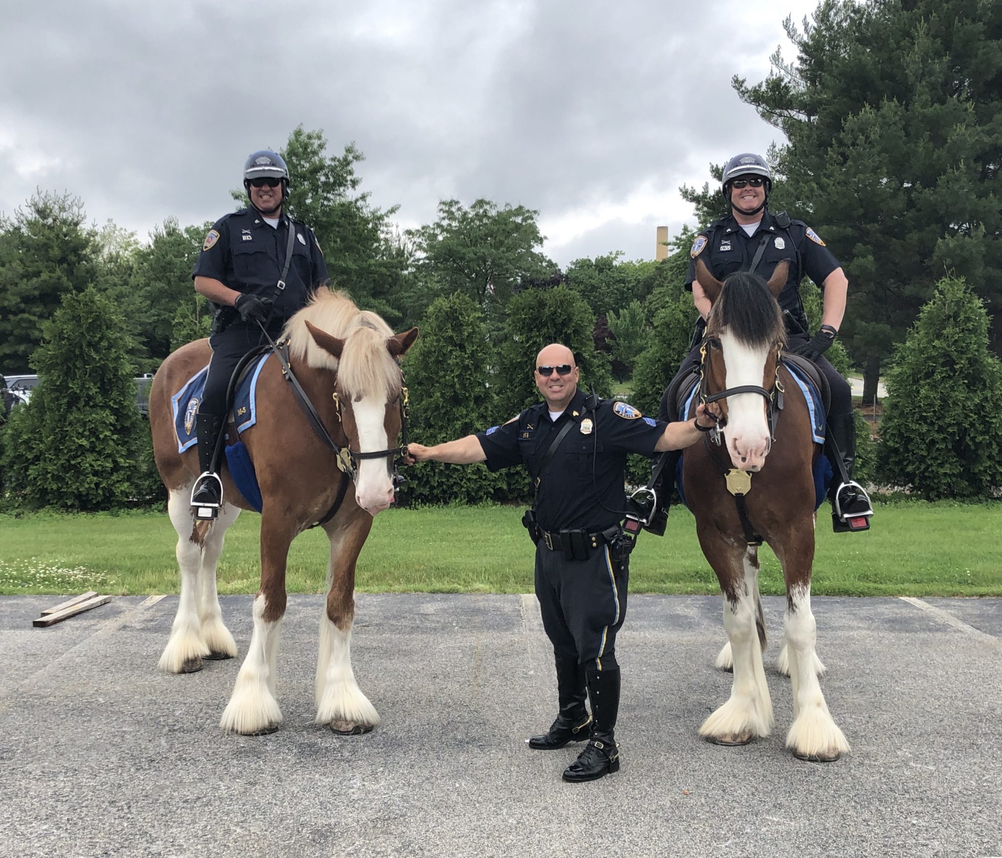 Photo: Mounted Command