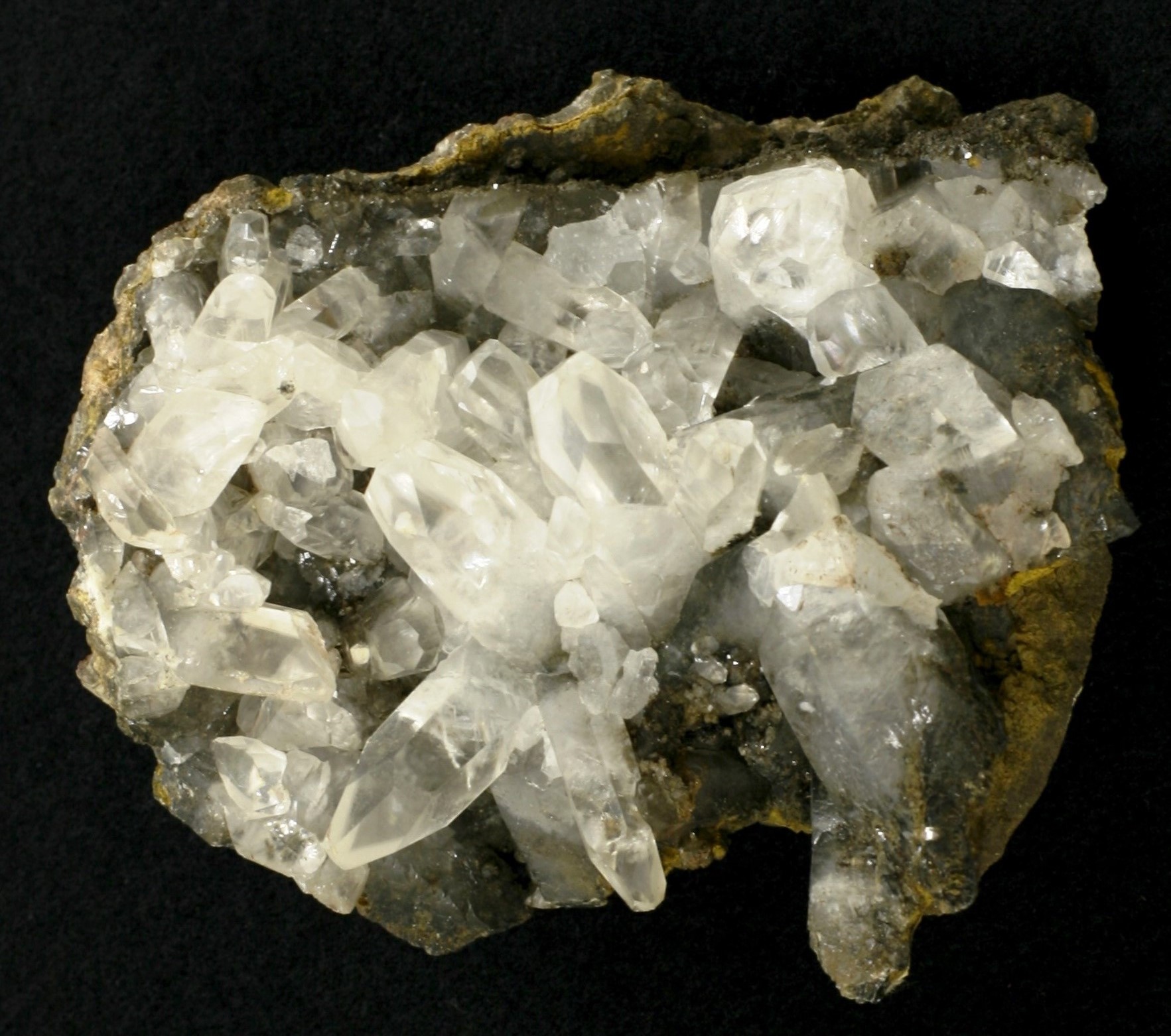 Mineral