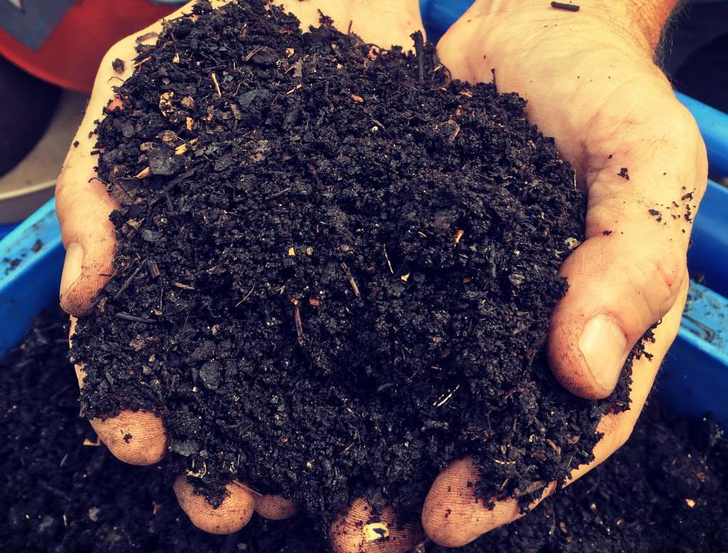photo of hands holding compost