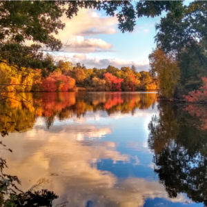 photo of a lake with fall foliage