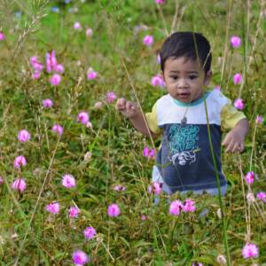 Photo of a child in a field of flowers