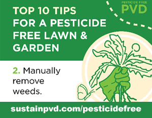 City of Providence pesticide-top-10-thumb - City of Providence