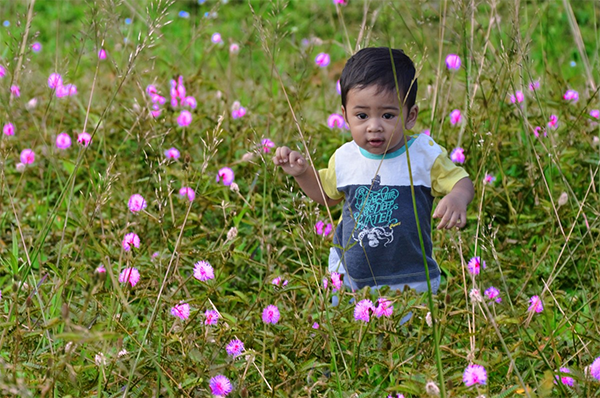 Pesticide Free Children