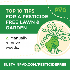 Top 10 Tips for a Pesticide Free Lawn and Garden