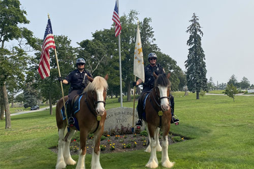 Photo of horses of Providence's Mounted Command - link opens to mounted command website