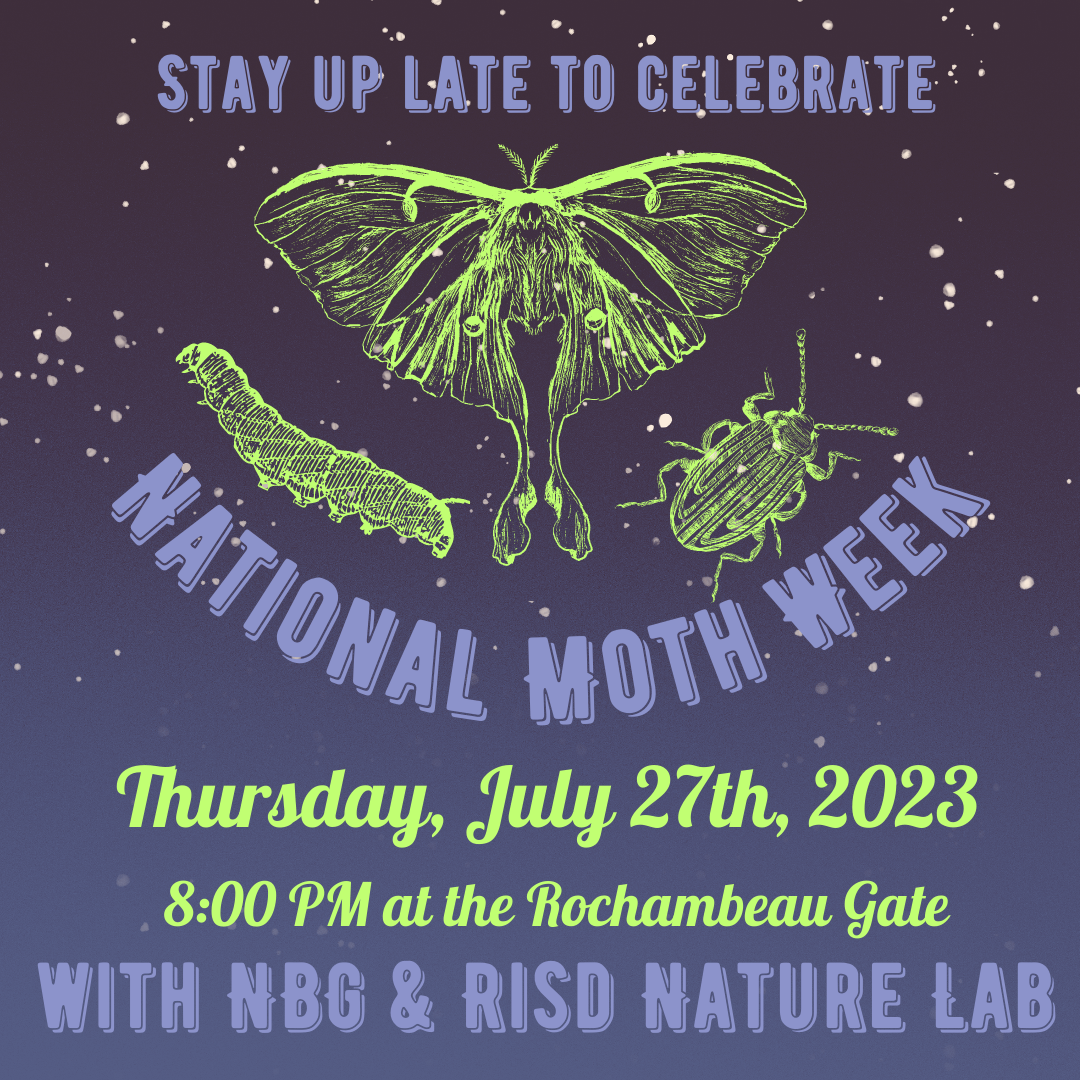 City of Providence National Moth Week (1) City of Providence