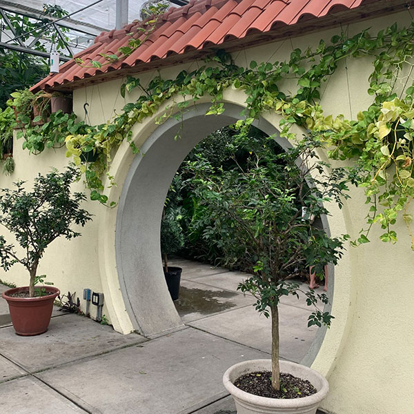 Mediterranean room inside the greenhouse