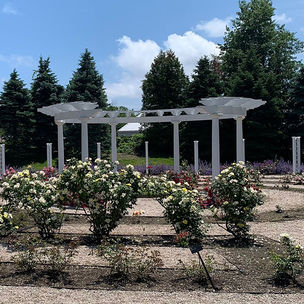 Rose Garden