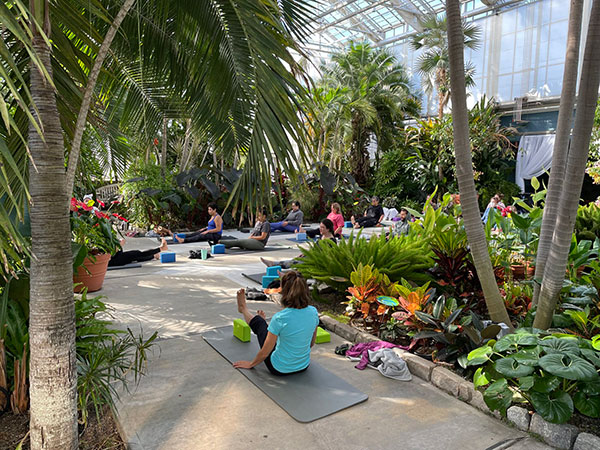 People doing yoga in the greenhouse