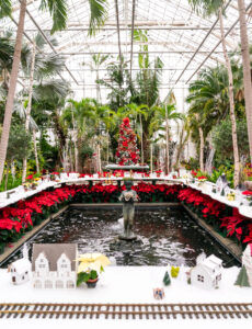 Photo of a holiday scene at the Botanical Center