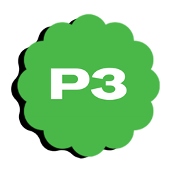 P3