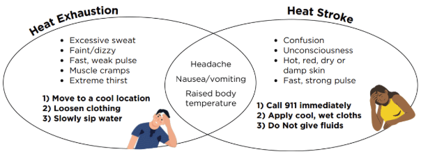 Heat Exhaustion: Excessive sweat, faint/dizzy, fast weak pulse, muscle cramps, extreme thirst, headache, nausea/vomiting, raised body temperature. - Move to a cool location, loosen clothing, slowly sip water. Heat Stroke: Confusion, unconsciousness, hot red dry or damp skin, fast strong pulse, headcache, nausea/vomiting, raised body temperature. - Call 911 immediately, apply cool/wet cloths, do not give fluids.