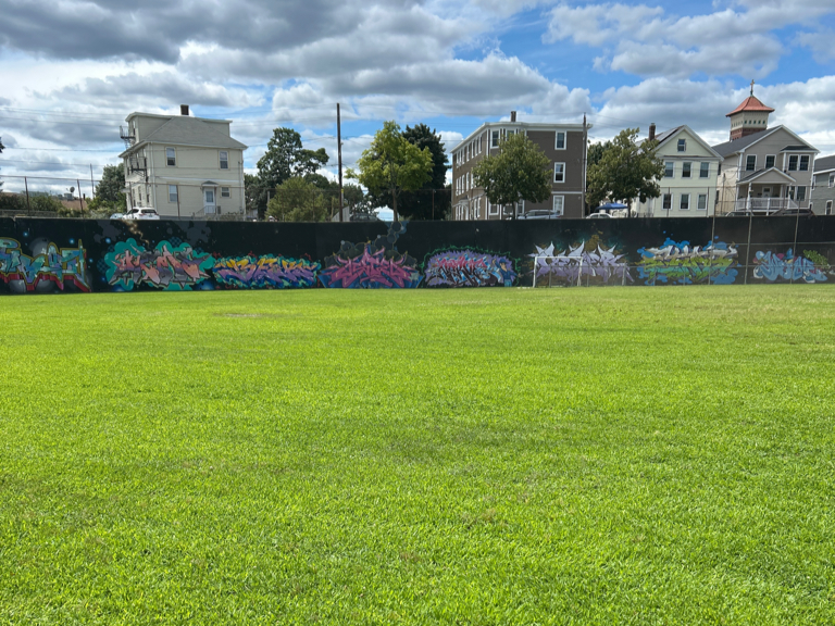 photo showing a grassy field
