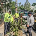 Parks crew cleaning up brush at Paul Grande Park on Daniel Ave