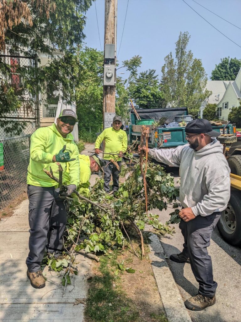 Parks crew cleaning up brush at Paul Grande Park on Daniel Ave