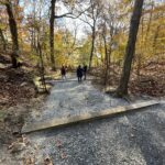 photo of people waling down a gravel path lined with trees