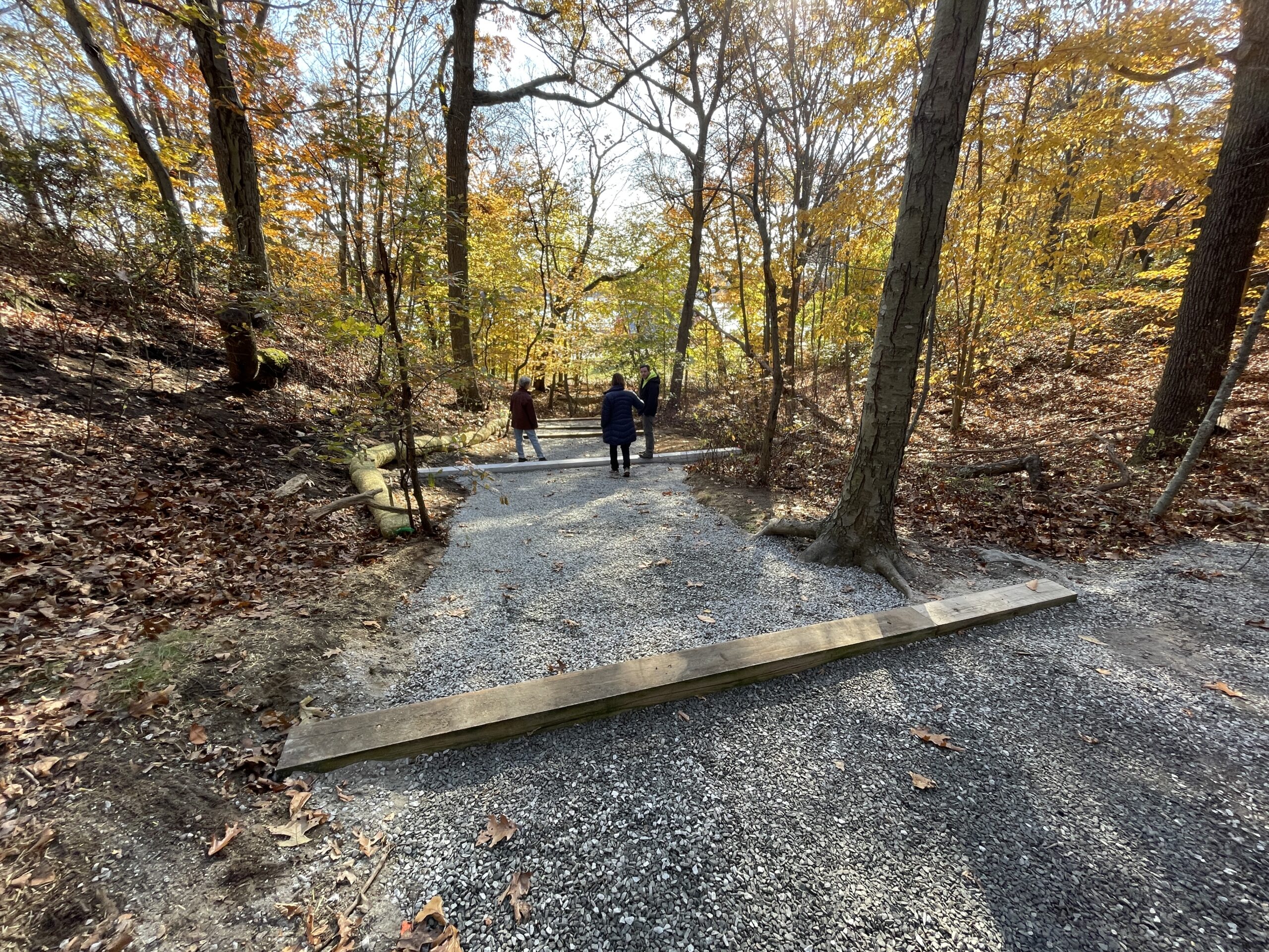 photo of people waling down a gravel path lined with trees