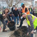 Street Tree Planting in Providence