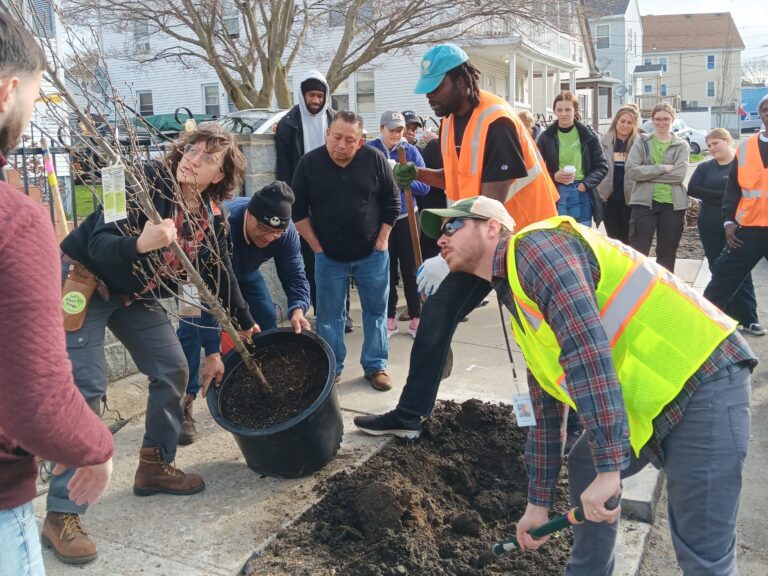 Street Tree Planting in Providence