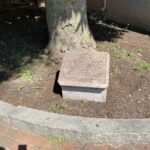 photo showing a memorial plaque