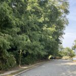 Photo of a driveway along a body of water