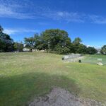 Hopkins Park grassy field