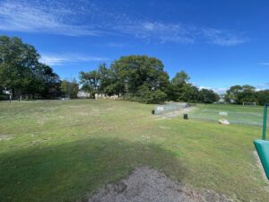 Hopkins Park grassy field