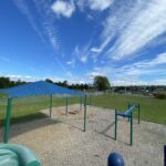Hopkins Park view from play structure