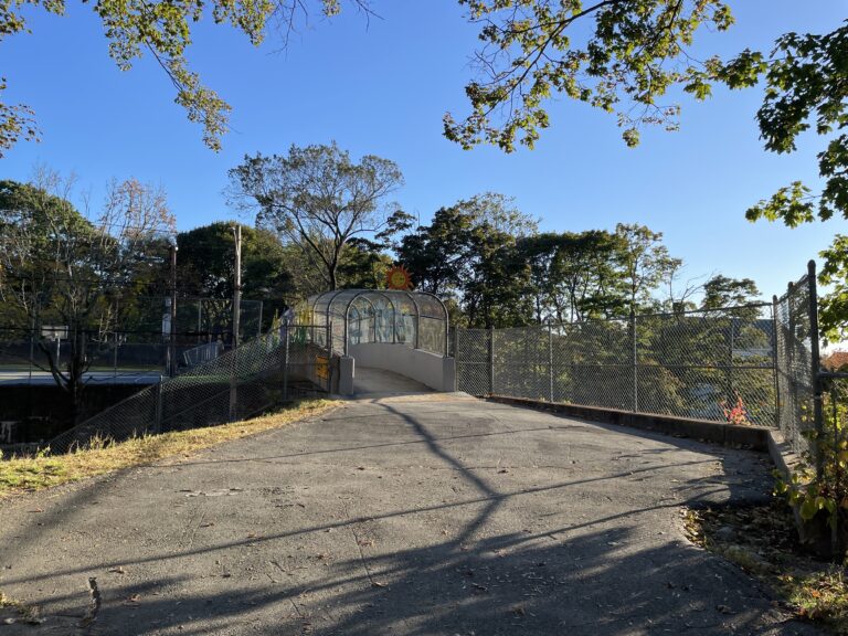 photo showing the entrance to a walking bridge over a roadway