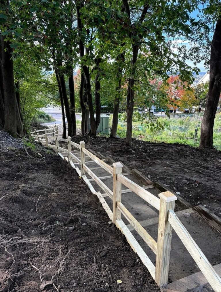 photo showing a walking path with steps and a handrail
