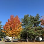photo showing swing set and picnic tables and colorful trees