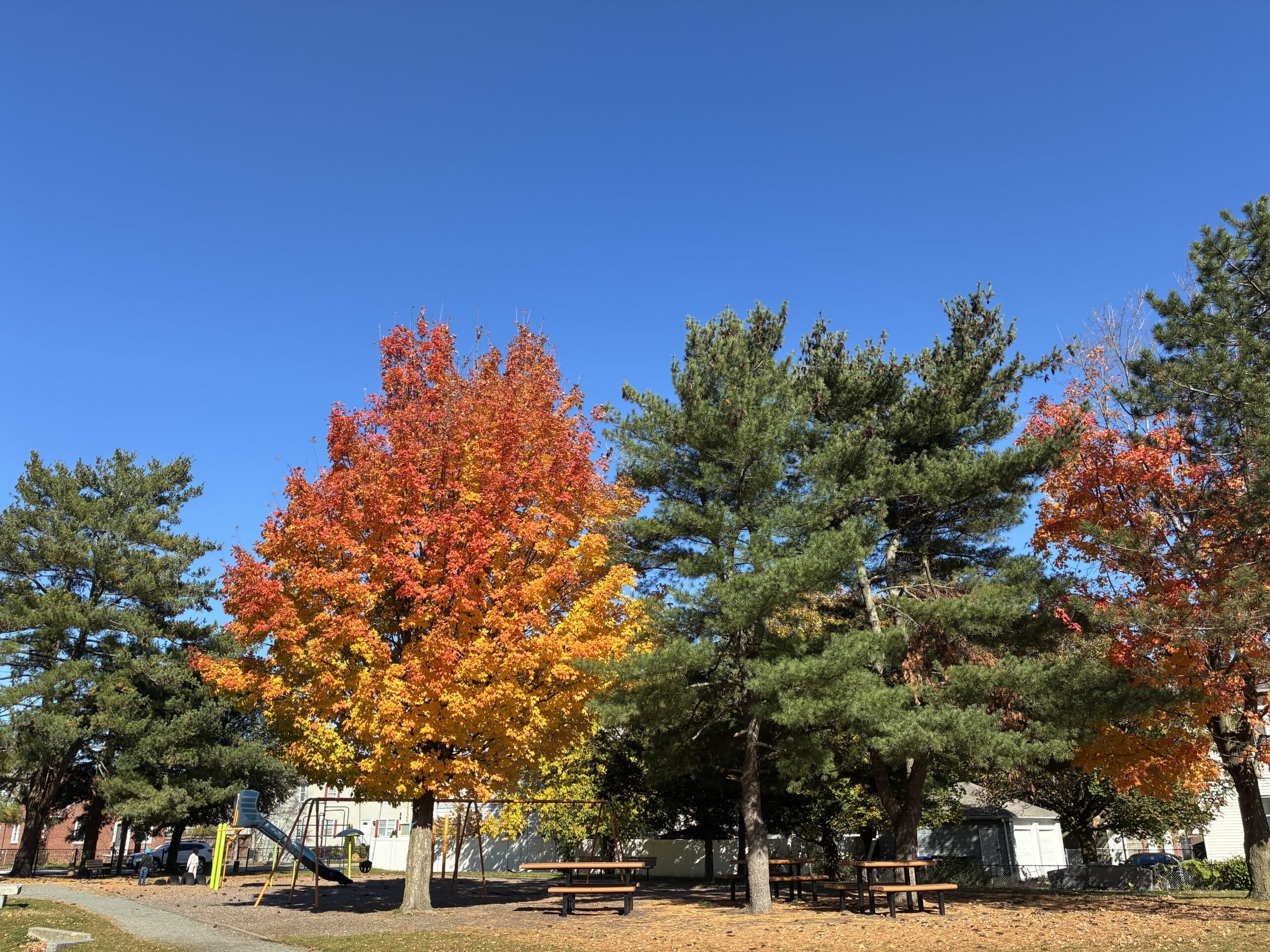 photo showing swing set and picnic tables and colorful trees