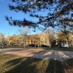 photo showing volleyball court
