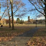 photo showing walking path with trees and grassy field