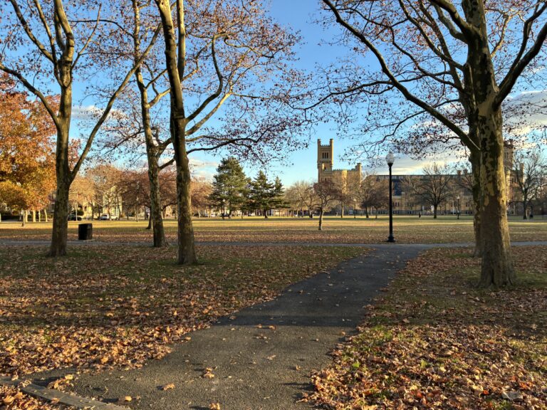 photo showing walking path with trees and grassy field