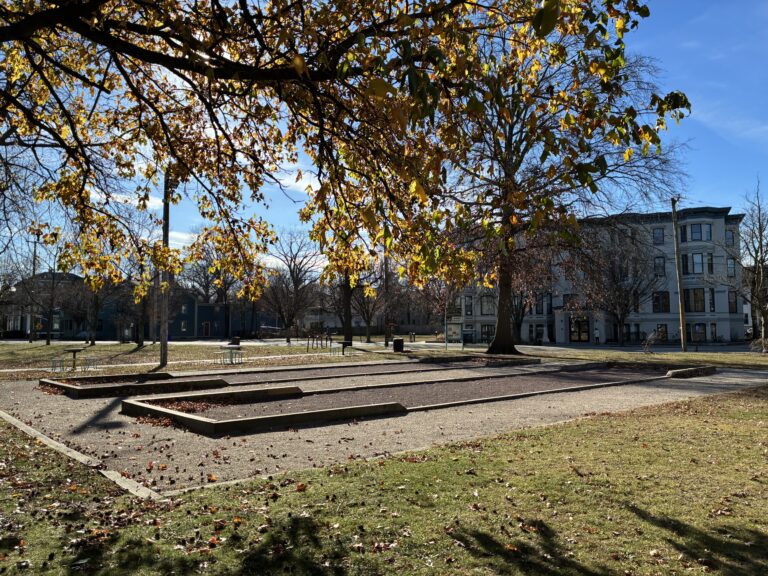 photo of sporting areas with trees and buildings in the background