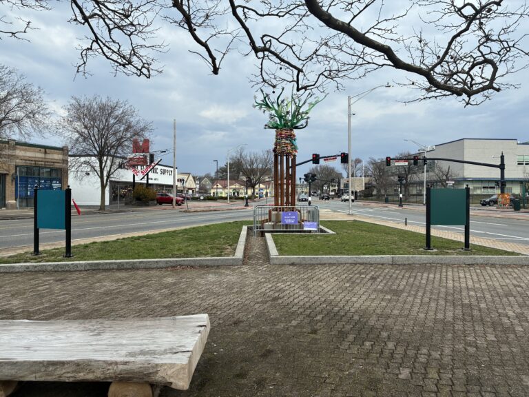photo of a small park