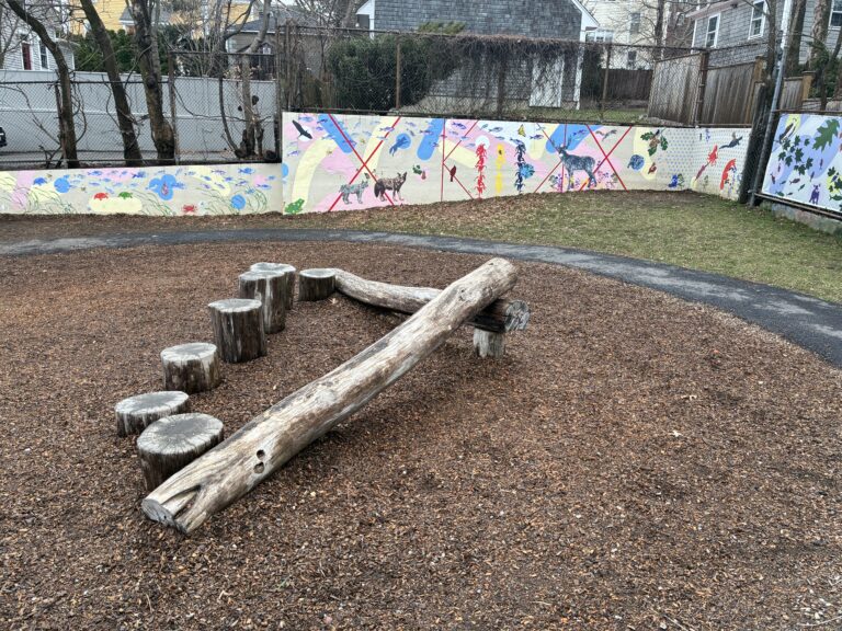 photo showing play areas at Brassil Park