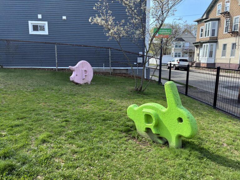 photo of playground structures