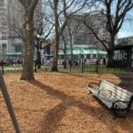 Photo showing a park bench and trees