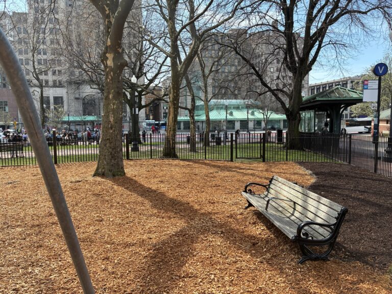 Photo showing a park bench and trees
