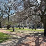 Photo showing tree lined walking paths at Burnside Park