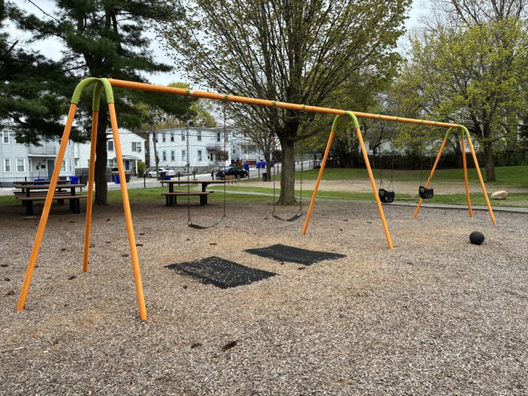 photo showing swings and picnic areas