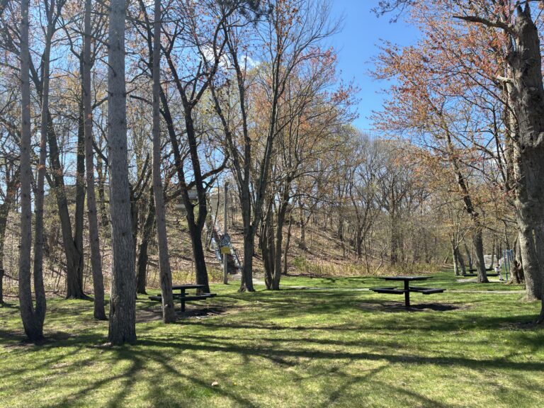 photo showing a tree lined picnic area