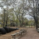 photo showing play structures and playground areas